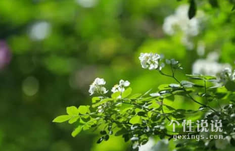 适合睡不着看的搞笑说说（37条）