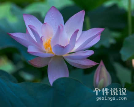 可爱幽默的搞笑说说（44条）