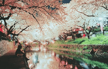 最适合告白的爱情说说大全：守我伴我最后头也不回地离开我