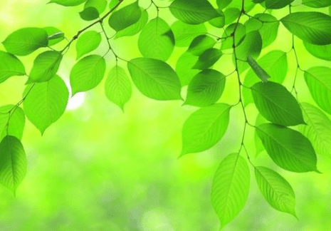 关于男生有意思的搞笑说说（70条）