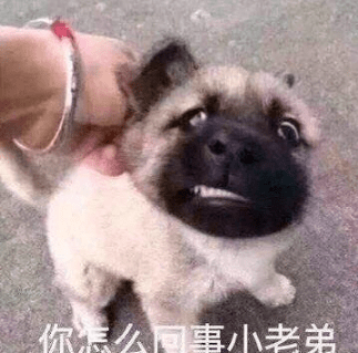 有哲理的搞笑说说 句句沙雕的搞笑说说