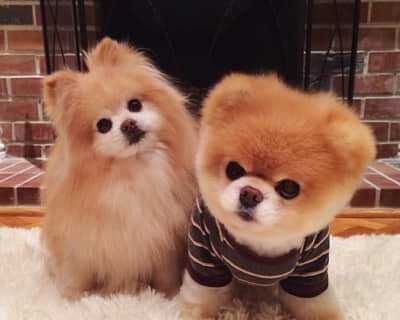 大姨夫。管好你媳妇。别让她老欺负我媳妇