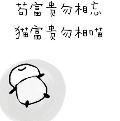 有意思的搞笑说说：衣柜衣服千千万。只有新的最好看！
