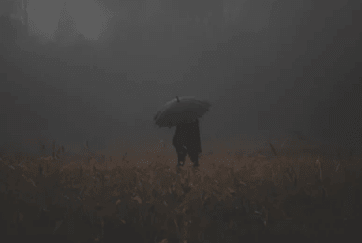 最热门的搞笑说说：住的很蜗居。活的很窝囊。生的很窝火