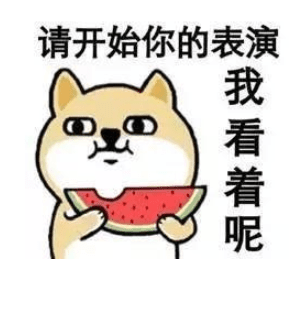 鸡汤太毒了：有很多人对狗很好,  对人却很差