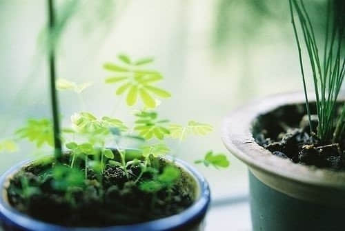 有时候突然不说话。回过神来才知道。自己在想他