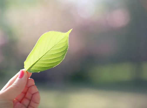 如若相爱。便携手到老；如若错过。便愿他安好