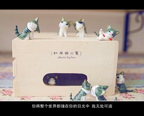 你是我此生难得的情分。我却是你恰巧路过的酒馆