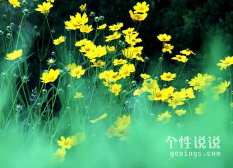 心情不好沮丧的心情说说（66条）