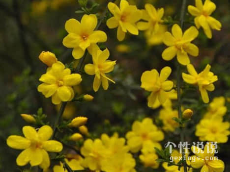 让对方心疼无助的心情说说（52条）