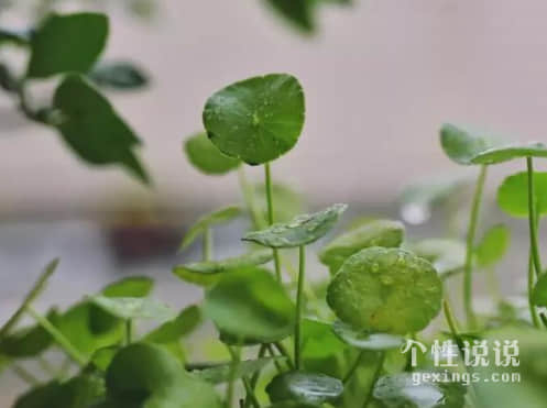 感悟人生压抑的心情说说