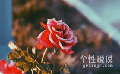 心情说说致自己2019（67条）