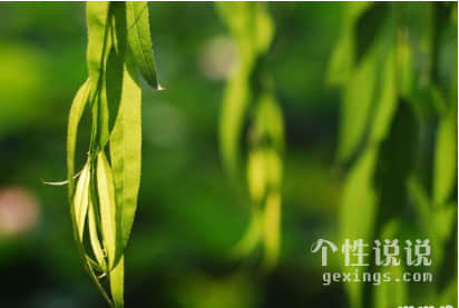 心情不好的说说 总有一条戳中你的心（54条）