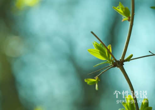 深夜失眠睡不着的心情说说（50条）