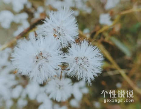 感到忧伤无奈的心情说说（59条）