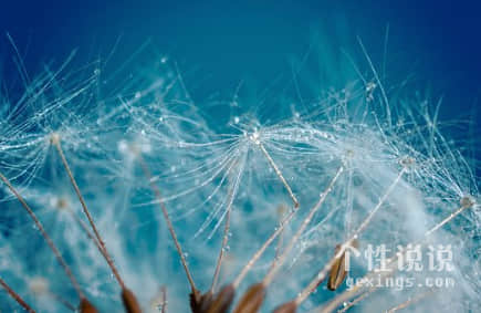 撩动人心 一句心情说说：花有什么好种的。来和我种草莓