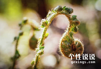 软萌心情说说致自己（58条）