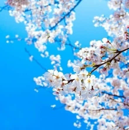 爱情里。需要勇气。需要坚持。更需要态度