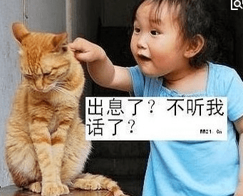 最逗比的搞笑说说大全图片！