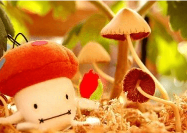 骂人的搞笑说说：我喜欢你。你吃屎我觉得你厉害