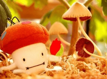 超级逗比的搞笑说说：这世上本没有脏话。作业做多了就有了