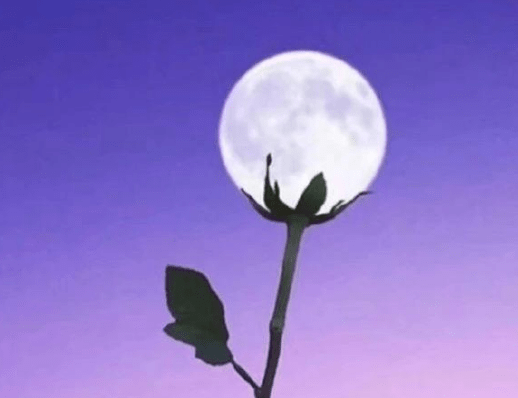 很累心烦的心情说说 听别人说再多的道理。都不如自己熬过的领悟