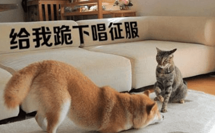 与生活息息相关的搞笑说说：很多衣服扔之可惜。穿之傻B