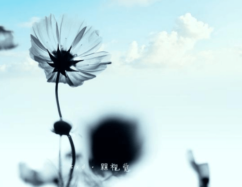 致自己的心碎心情说说 不是我后悔。是我不能面对没有你的结局