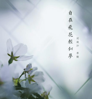 2019心酸的心情说说 我什么都可以不要了。你还能拿我怎样？