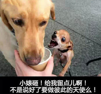 照了很多次镜子。依旧找不到一个好看的角度。