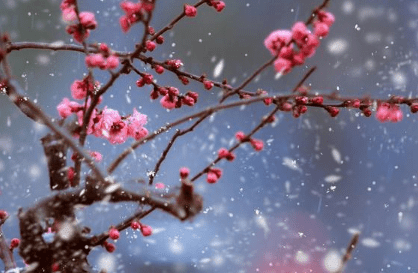 治愈系的心情说说：其实深拥。比什么都温暖
