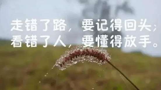 心烦失落的心情说说：离开我的人就是路人。不论我曾多在乎