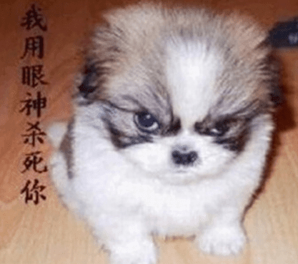 说说带图片大全搞笑：自从用了黑人牙膏。牙齿白了。人黑了