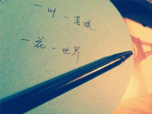 贱人要有贱人样。骚就骚的有个样。懂吗