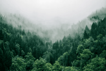 抖音上很有格调的心情说说：人生的旅途。 没有人是应该要陪你走