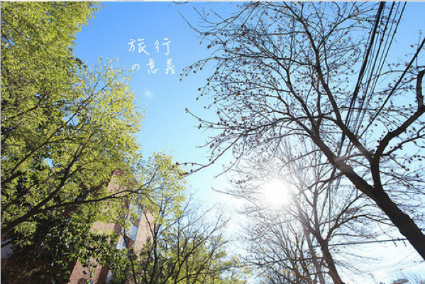 无聊心情说说 没有女人的日子里。我以调戏男人为乐