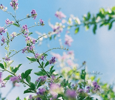 心情不好的心情说说：念你心情如烈酒 你要不要喝了再走