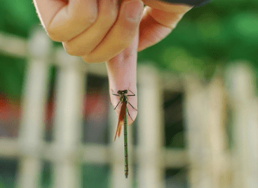 朋友圈心酸的心情说说：我太年轻了。甚至不懂怎么去爱她