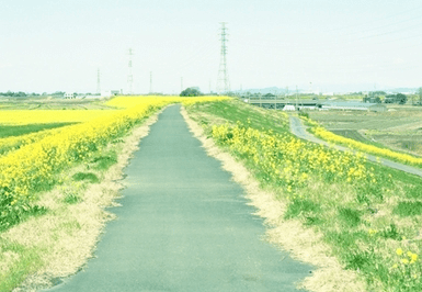 qq空间的心情说说：我没有哭。只是眼里流出了眼泪