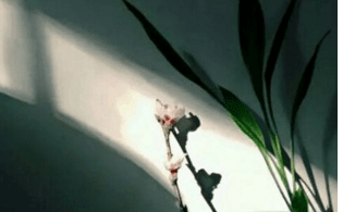 最痛苦的不是失去。而是得到了不想得到的
