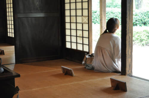 世界上最美的句子 来年。花开的时候。路过的朋友。也一样幸福