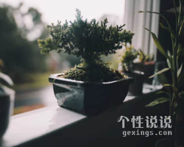 爱情微小说精选7篇