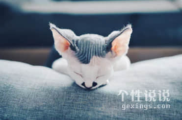 爱情微小说精选7篇