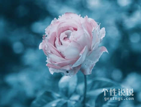 qq空间心情不好的心情短语（39条）