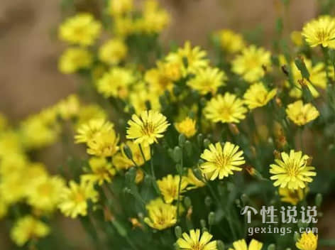 心情不好烦躁的心情短语（51条）