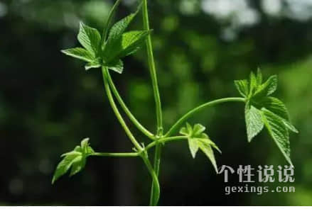 现实有道理的心情短语（46条）