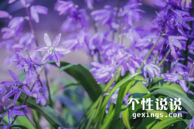 心情短语伤感 催人泪下的句子（64条）