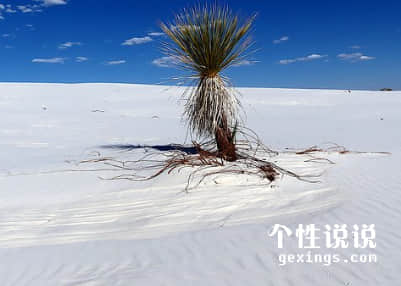 励志说说心情短语 朋友圈点赞率高的说说（55条）