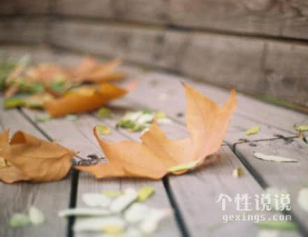 暖心要坚强的励志说说（44条）