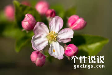 简短心情说说（56条）